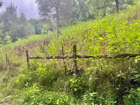 Tiny photo for 1545 Estes Rd, Tazewell, TN 37879 (MLS # 1349617)