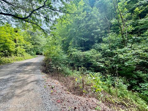 Tiny photo for 1545 Estes Rd, Tazewell, TN 37879 (MLS # 1349617)