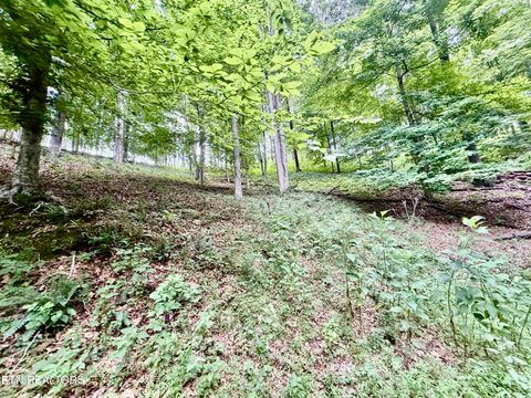 Tiny photo for 1545 Estes Rd, Tazewell, TN 37879 (MLS # 1349617)