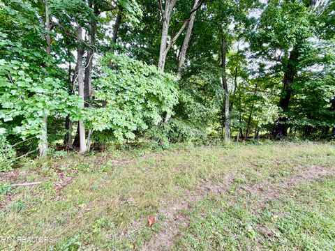 Tiny photo for 1545 Estes Rd, Tazewell, TN 37879 (MLS # 1349617)