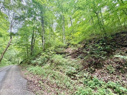 Tiny photo for 1545 Estes Rd, Tazewell, TN 37879 (MLS # 1349617)