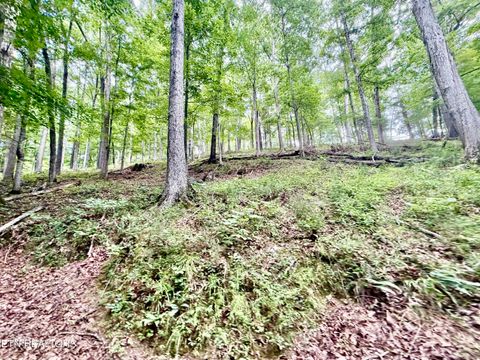 Tiny photo for 1545 Estes Rd, Tazewell, TN 37879 (MLS # 1349617)