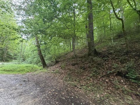 Tiny photo for 1545 Estes Rd, Tazewell, TN 37879 (MLS # 1349617)