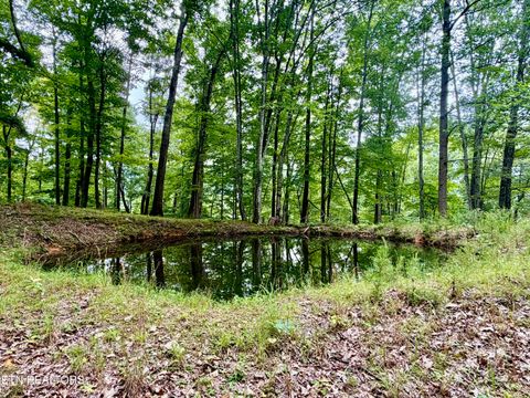 Tiny photo for 1545 Estes Rd, Tazewell, TN 37879 (MLS # 1349617)
