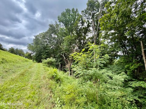 Tiny photo for 1545 Estes Rd, Tazewell, TN 37879 (MLS # 1349617)