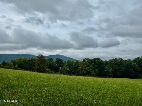 Tiny photo for 1545 Estes Rd, Tazewell, TN 37879 (MLS # 1349617)
