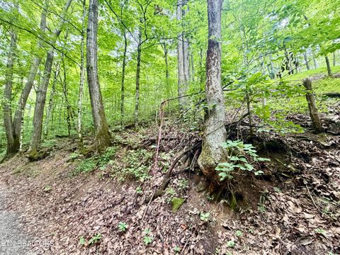 Tiny photo for 1545 Estes Rd, Tazewell, TN 37879 (MLS # 1349617)