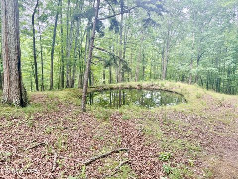 Tiny photo for 1545 Estes Rd, Tazewell, TN 37879 (MLS # 1349617)
