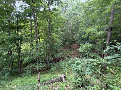 Tiny photo for 1545 Estes Rd, Tazewell, TN 37879 (MLS # 1349617)