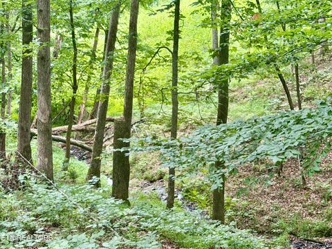 Tiny photo for 1545 Estes Rd, Tazewell, TN 37879 (MLS # 1349617)