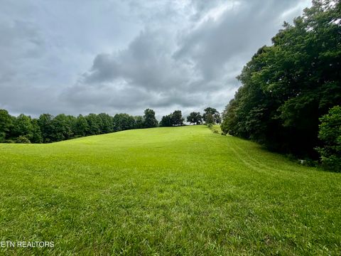 Tiny photo for 1545 Estes Rd, Tazewell, TN 37879 (MLS # 1349617)