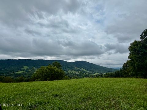 Tiny photo for 1545 Estes Rd, Tazewell, TN 37879 (MLS # 1349617)