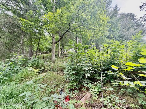 Tiny photo for 1545 Estes Rd, Tazewell, TN 37879 (MLS # 1349617)