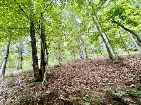 Tiny photo for 1545 Estes Rd, Tazewell, TN 37879 (MLS # 1349617)