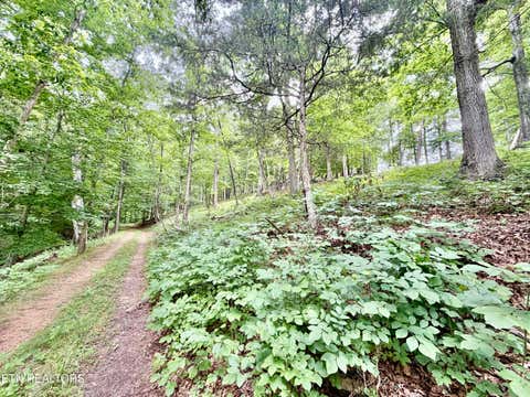 Tiny photo for 1545 Estes Rd, Tazewell, TN 37879 (MLS # 1349617)