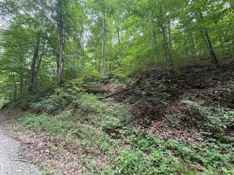 Tiny photo for 1545 Estes Rd, Tazewell, TN 37879 (MLS # 1349617)