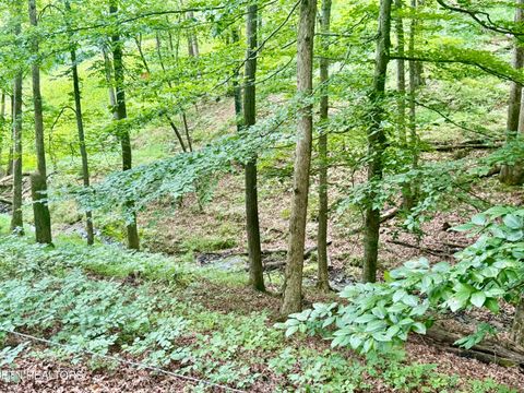 Tiny photo for 1545 Estes Rd, Tazewell, TN 37879 (MLS # 1349617)