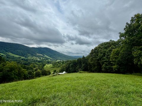 Tiny photo for 1545 Estes Rd, Tazewell, TN 37879 (MLS # 1349617)