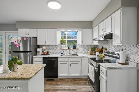 Tiny photo for 705 Ike Lane, Knoxville, TN 37918 (MLS # 1329025)