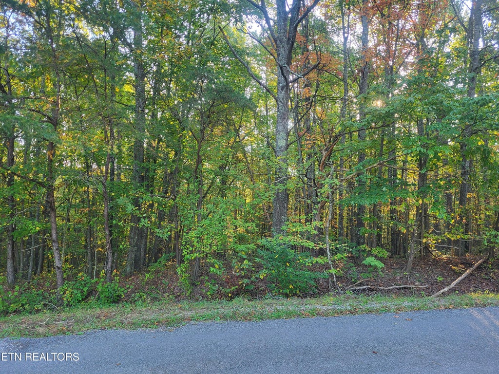 Photo of 233 Malvern Rd, Crossville, TN 38558 (MLS # 1358853)
