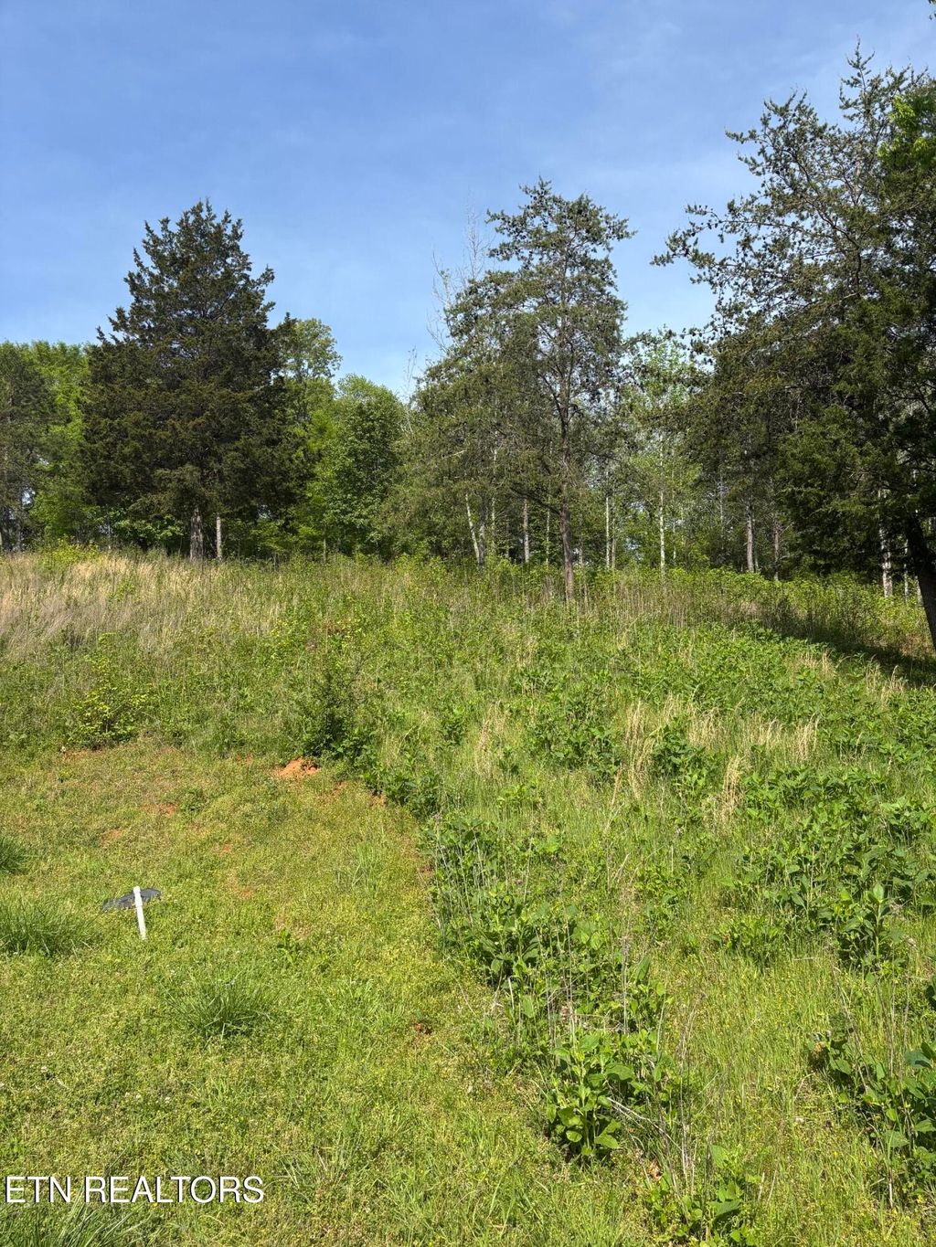 Photo of 5758 Docks Of The Bay Drive, Rockwood, TN 37854 (MLS # 1337862)