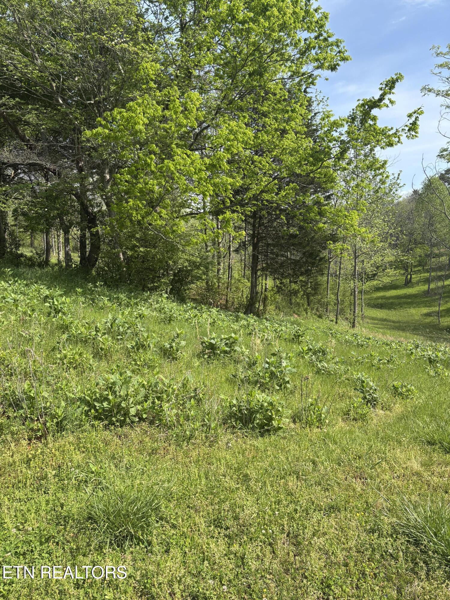 57&58 Docks Of The Bay Drive