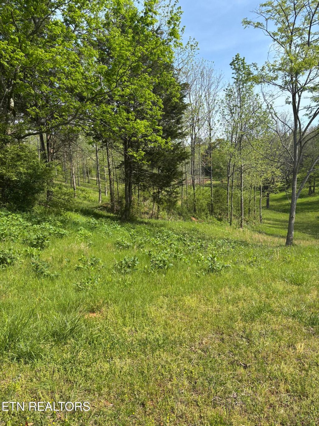 Photo of 5758 Docks Of The Bay Drive, Rockwood, TN 37854 (MLS # 1337862)