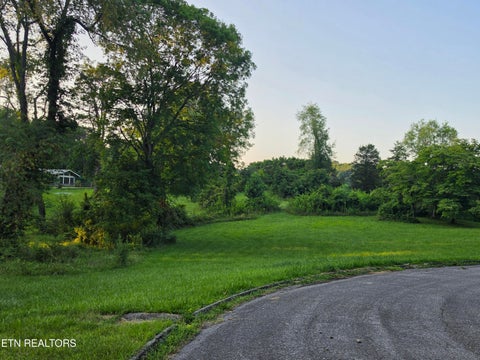 Tiny photo for Campbell Rd, New Tazewell, TN 37825 (MLS # 1347121)