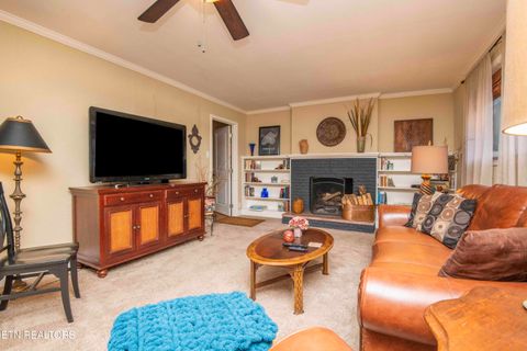 Tiny photo for 3208 Bellevue St, Knoxville, TN 37917 (MLS # 1319504)