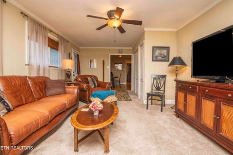 Tiny photo for 3208 Bellevue St, Knoxville, TN 37917 (MLS # 1319504)