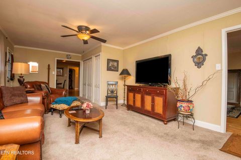 Tiny photo for 3208 Bellevue St, Knoxville, TN 37917 (MLS # 1319504)