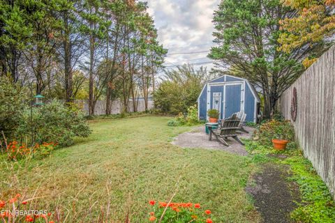 Tiny photo for 3208 Bellevue St, Knoxville, TN 37917 (MLS # 1319504)