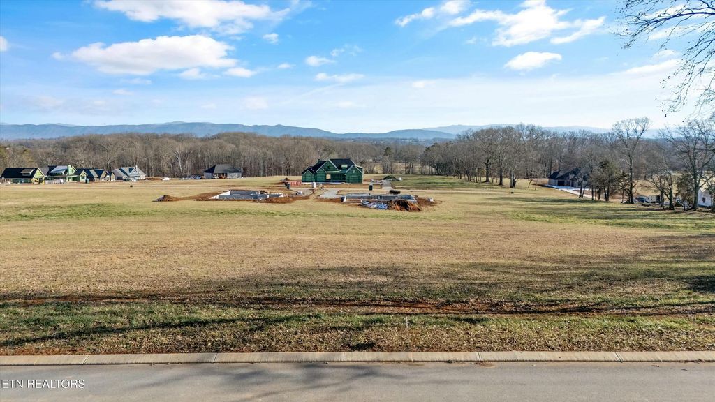 Photo of 1230 Kellys View Drive, Greenback, TN 37742 (MLS # 1287329)