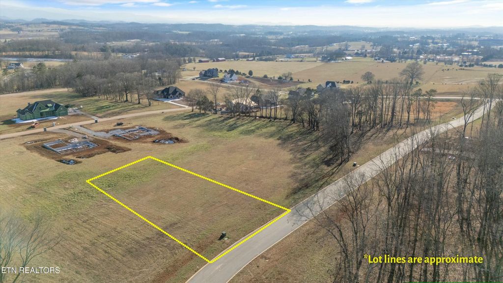 Photo of 1230 Kellys View Drive, Greenback, TN 37742 (MLS # 1287329)