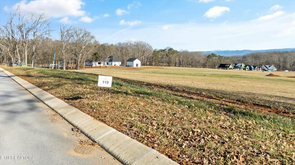 Photo of 1230 Kellys View Drive, Greenback, TN 37742 (MLS # 1287329)