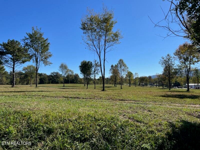 Photo of Stone Mill Lot 2 Rd, Jacksboro, TN 37757 (MLS # 1357924)