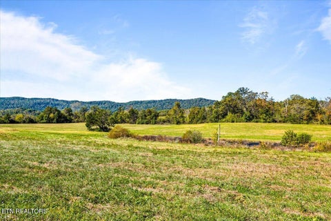 Tiny photo for 522 Lavender View Lane, Speedwell, TN 37870 (MLS # 1360191)