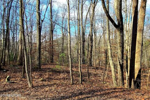 Photo of 9 Walden Flats Way, Sevierville, TN 37862 (MLS # 1335295)
