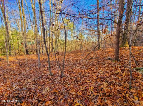 Tiny photo for 9 Walden Flats Way, Sevierville, TN 37862 (MLS # 1335295)