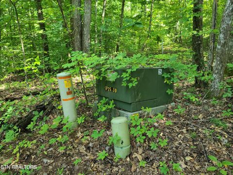 Tiny photo for 9 Walden Flats Way, Sevierville, TN 37862 (MLS # 1335295)