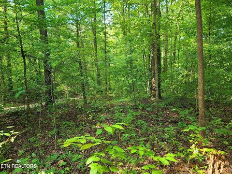 Tiny photo for 9 Walden Flats Way, Sevierville, TN 37862 (MLS # 1335295)