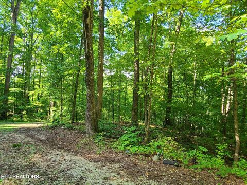 Tiny photo for 9 Walden Flats Way, Sevierville, TN 37862 (MLS # 1335295)
