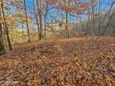 Tiny photo for 9 Walden Flats Way, Sevierville, TN 37862 (MLS # 1335295)