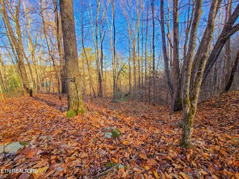 Tiny photo for 9 Walden Flats Way, Sevierville, TN 37862 (MLS # 1335295)