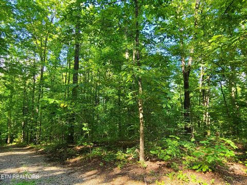 Tiny photo for 9 Walden Flats Way, Sevierville, TN 37862 (MLS # 1335295)