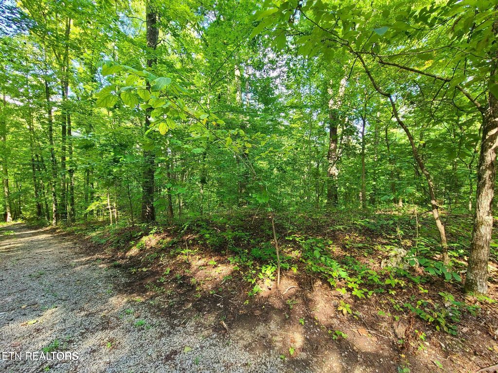 Photo of 9 Walden Flats Way, Sevierville, TN 37862 (MLS # 1335295)