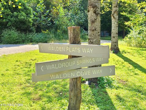 Tiny photo for 9 Walden Flats Way, Sevierville, TN 37862 (MLS # 1335295)