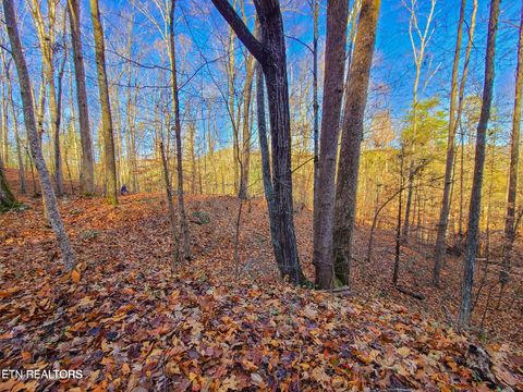 Tiny photo for 9 Walden Flats Way, Sevierville, TN 37862 (MLS # 1335295)