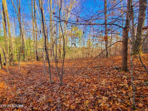Tiny photo for 9 Walden Flats Way, Sevierville, TN 37862 (MLS # 1335295)