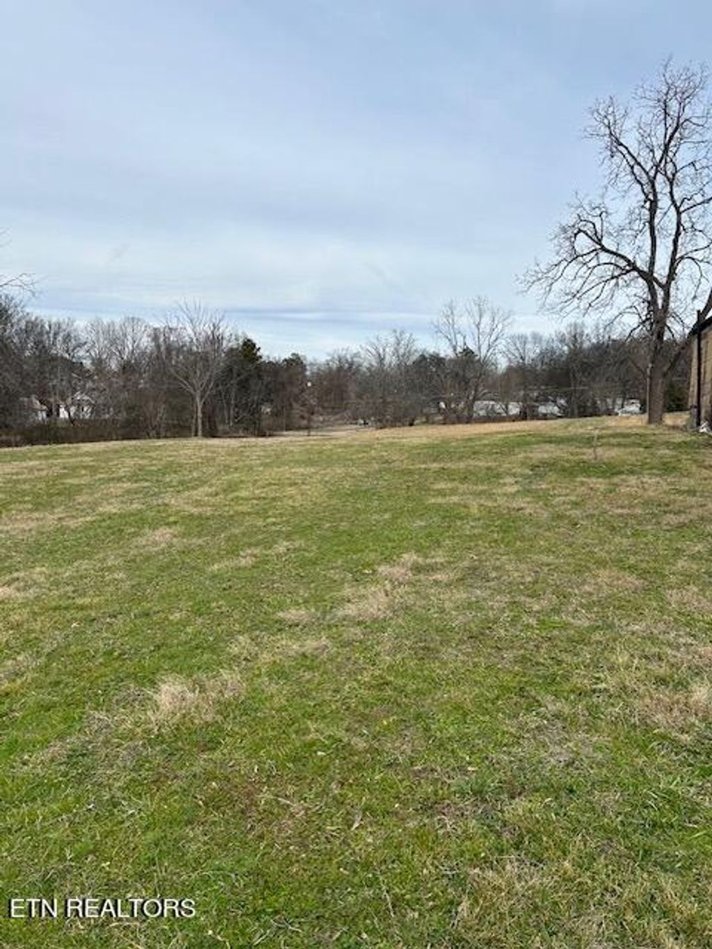 Photo of 210 S Front St, Friendsville, TN 37737 (MLS # 1251599)